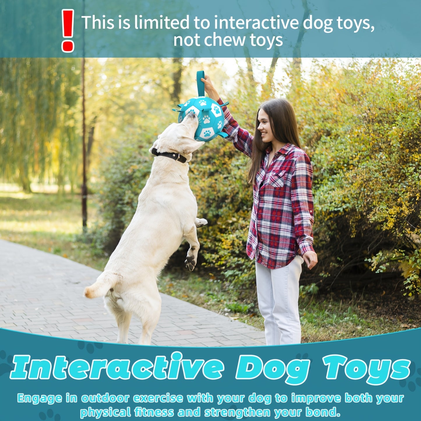 Interactive Dog Soccer Ball(Blue)