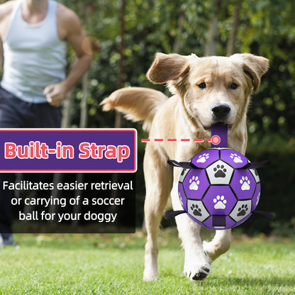 Interactive Dog Soccer Ball(Purple)