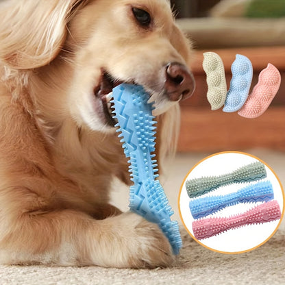Textured Plastic Chew Toy