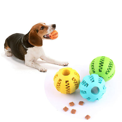 Interactive Rubber Ball Toy