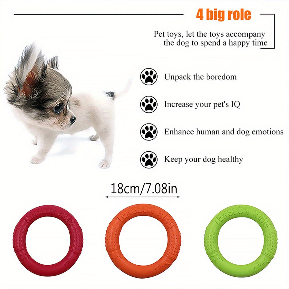 Dog Training Rally Ring