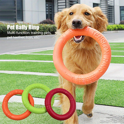 Dog Training Rally Ring