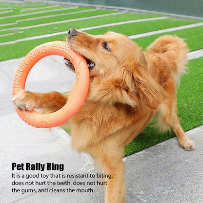Dog Training Rally Ring