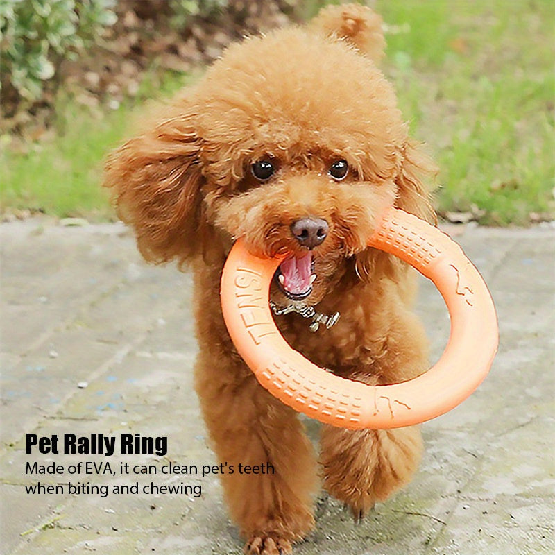 Dog Training Rally Ring