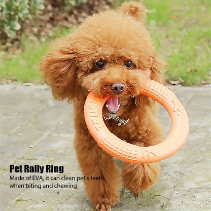 Dog Training Rally Ring