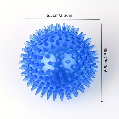 Spiky Squeaky Dog Ball Toy (2-Pack)