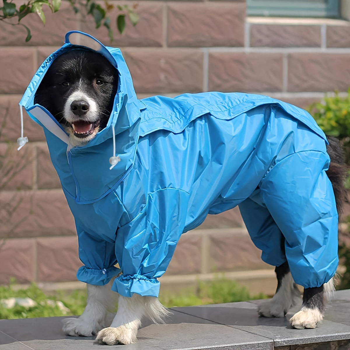 Blue Dog Raincoat