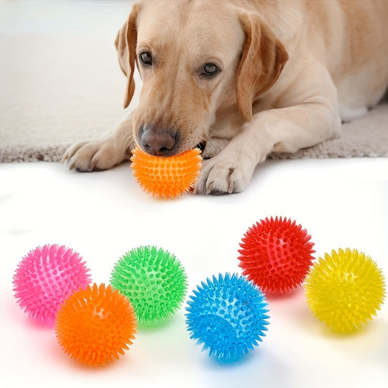 Spiky Squeaky Dog Ball Toy (2-Pack)