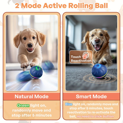 Motion-Activated Dog Bouncing Ball