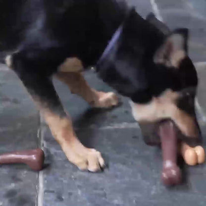Bone Design Chew Toy