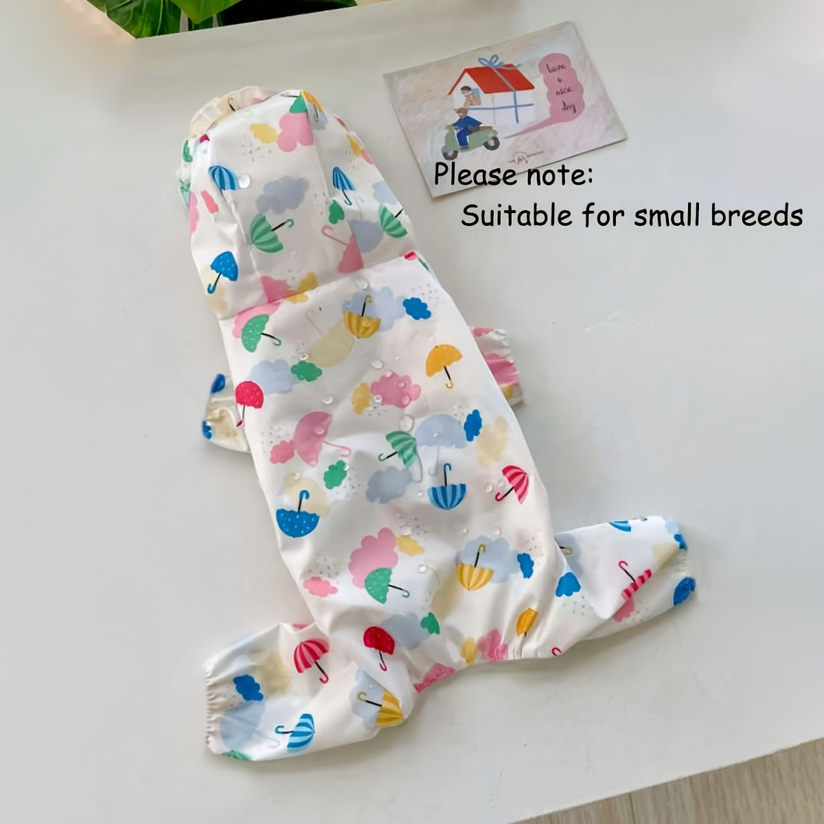 Small Dog Raincoat – Waterproof & Stylish Outdoor Jacket