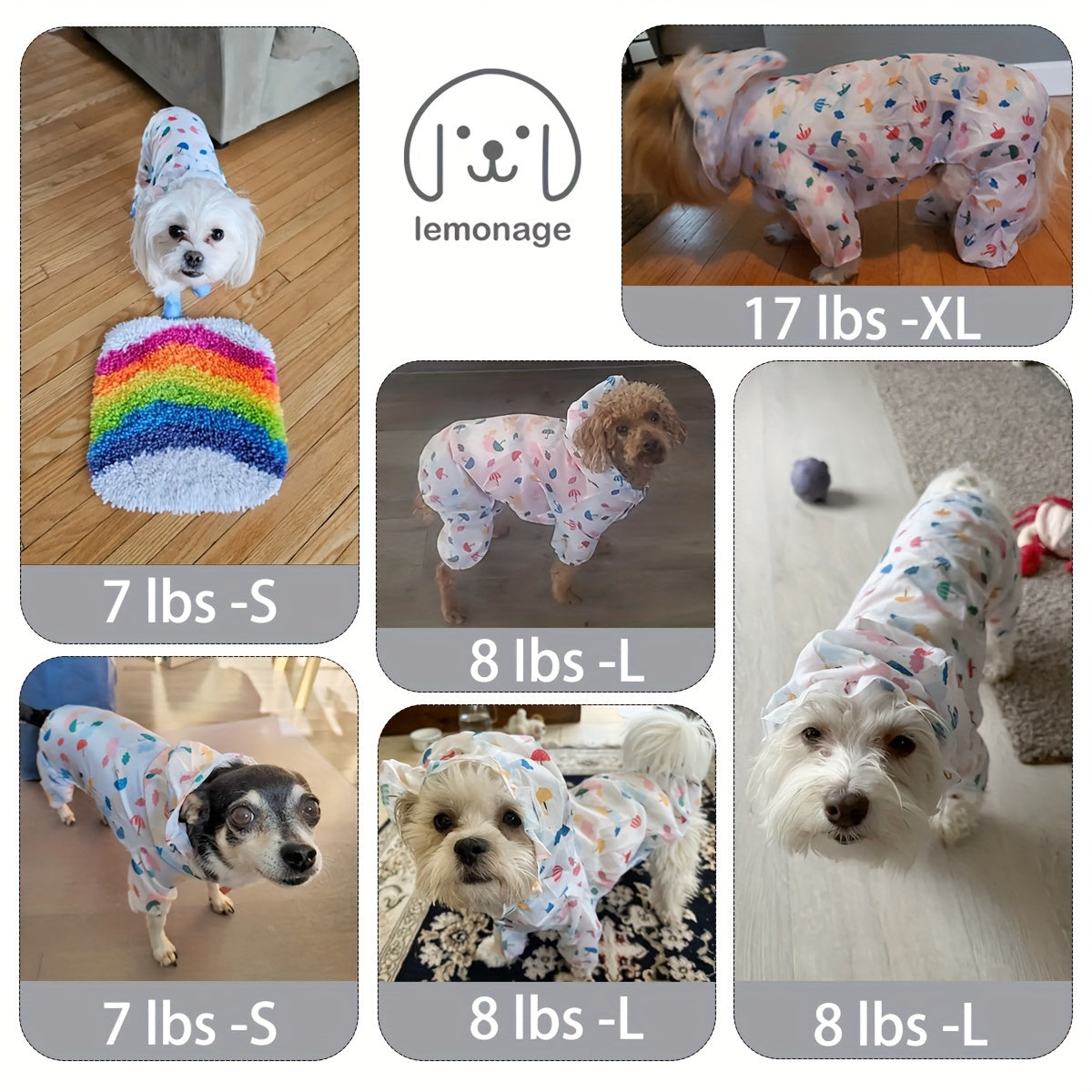 Small Dog Raincoat – Waterproof & Stylish Outdoor Jacket