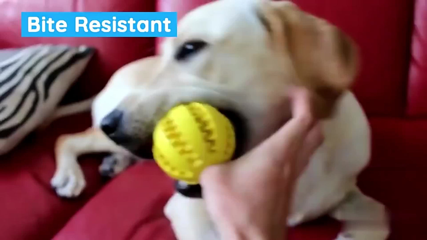 Interactive Rubber Ball Toy