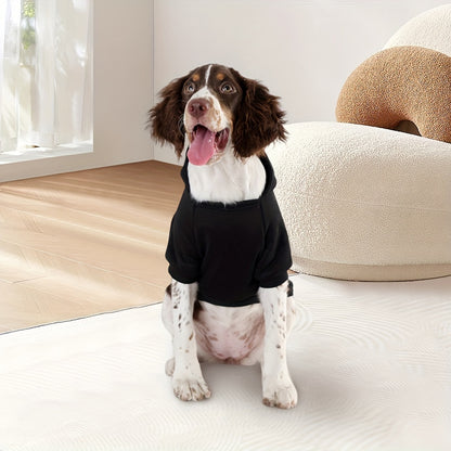 Loved All Day Dog Hoodie