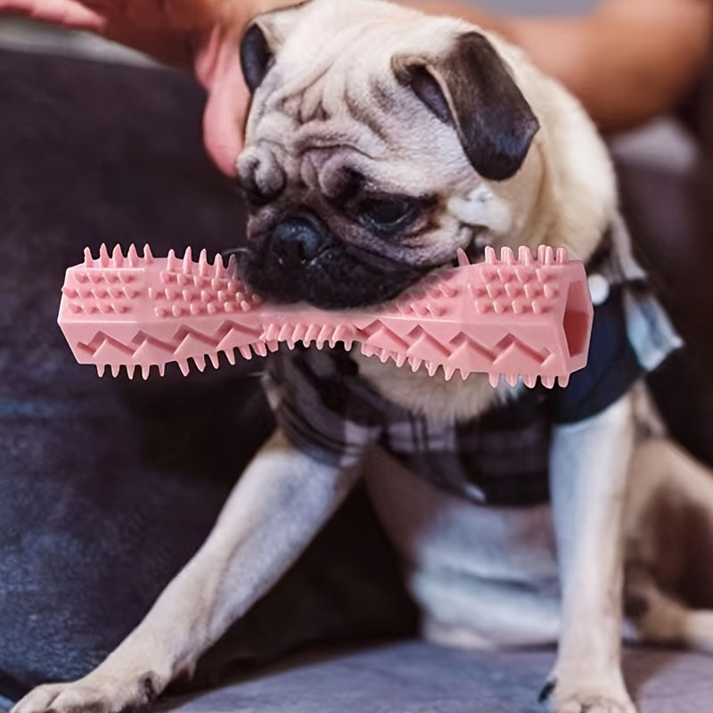Textured Plastic Chew Toy