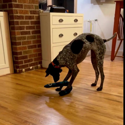 Plush Snake Dog Toy
