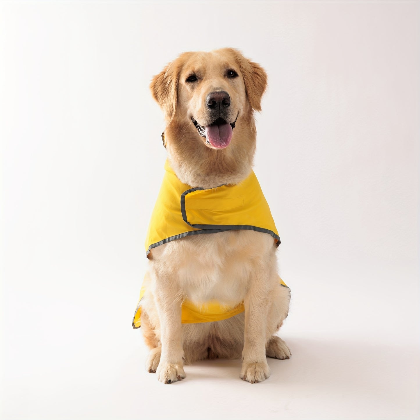 Reversible Dog Raincoat