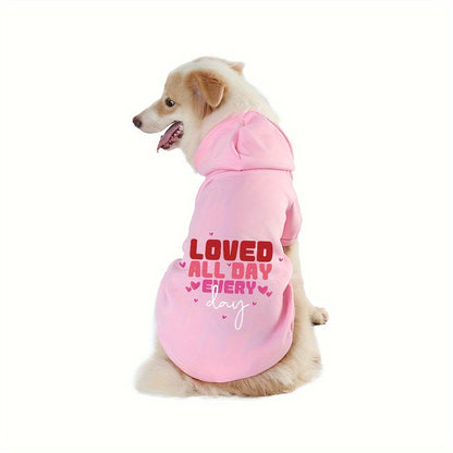 Loved All Day Dog Hoodie