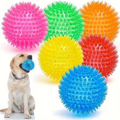 Spiky Squeaky Dog Ball Toy (2-Pack)