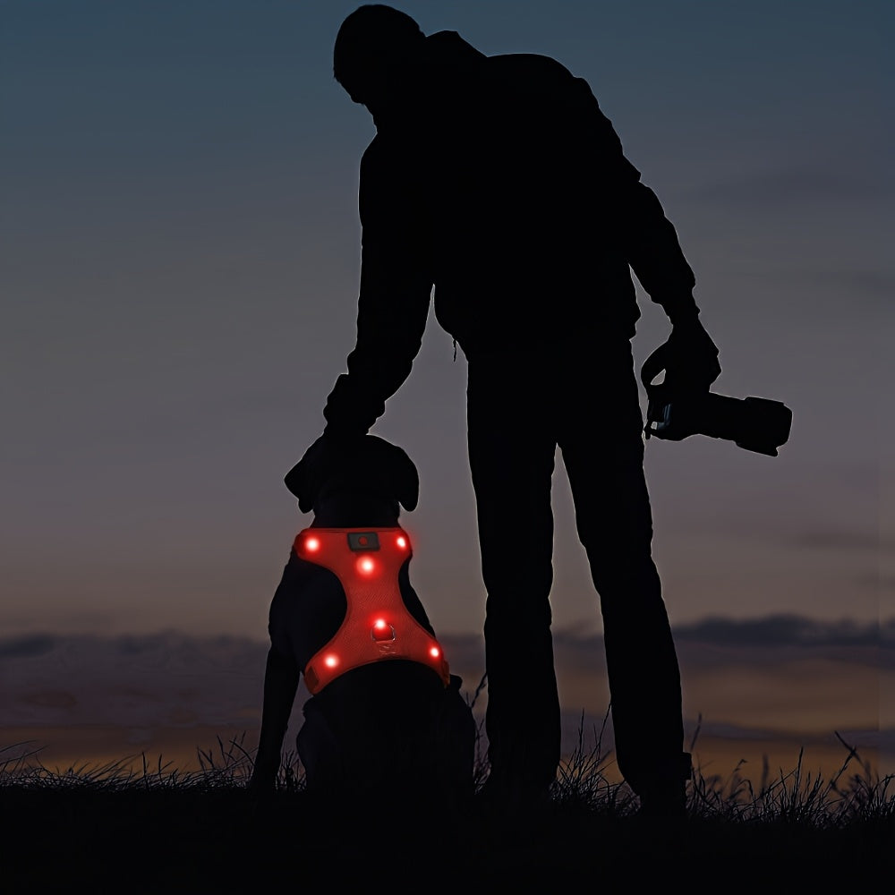 LED Light-Up Dog Harness