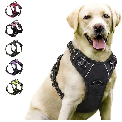 Leather Dog Harness Vest Set