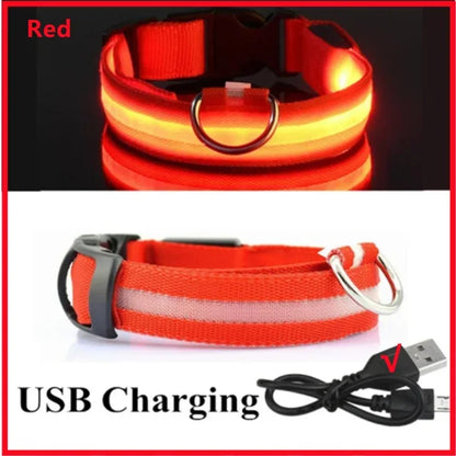 LED Dog Safety Collar