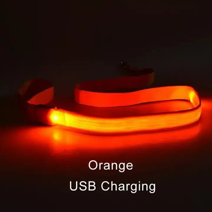 LED Light-Up Dog Leash