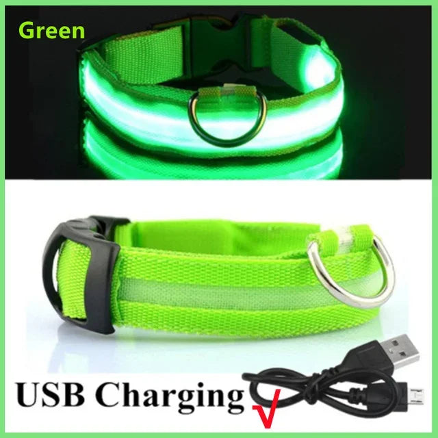 LED Dog Safety Collar