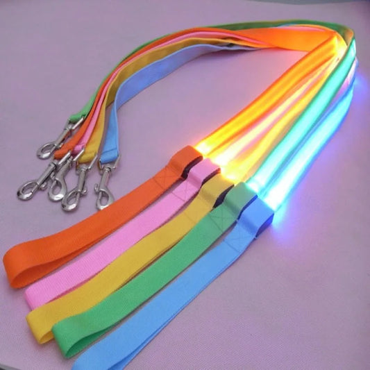 LED Light-Up Dog Leash