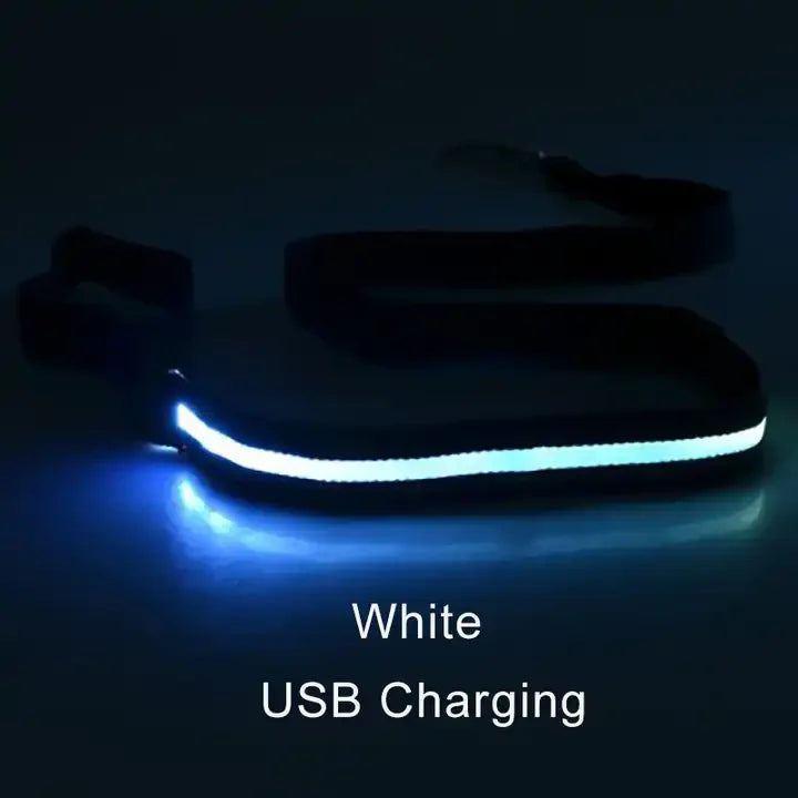 LED Light-Up Dog Leash