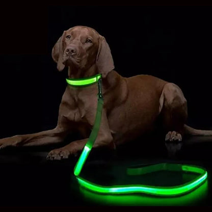 LED Light-Up Dog Leash