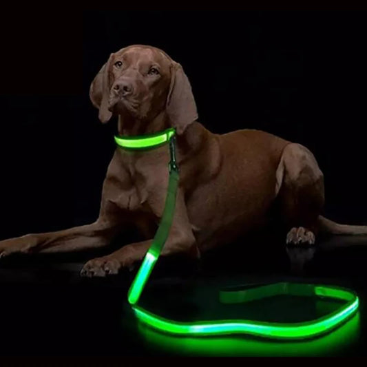 LED Light-Up Dog Leash