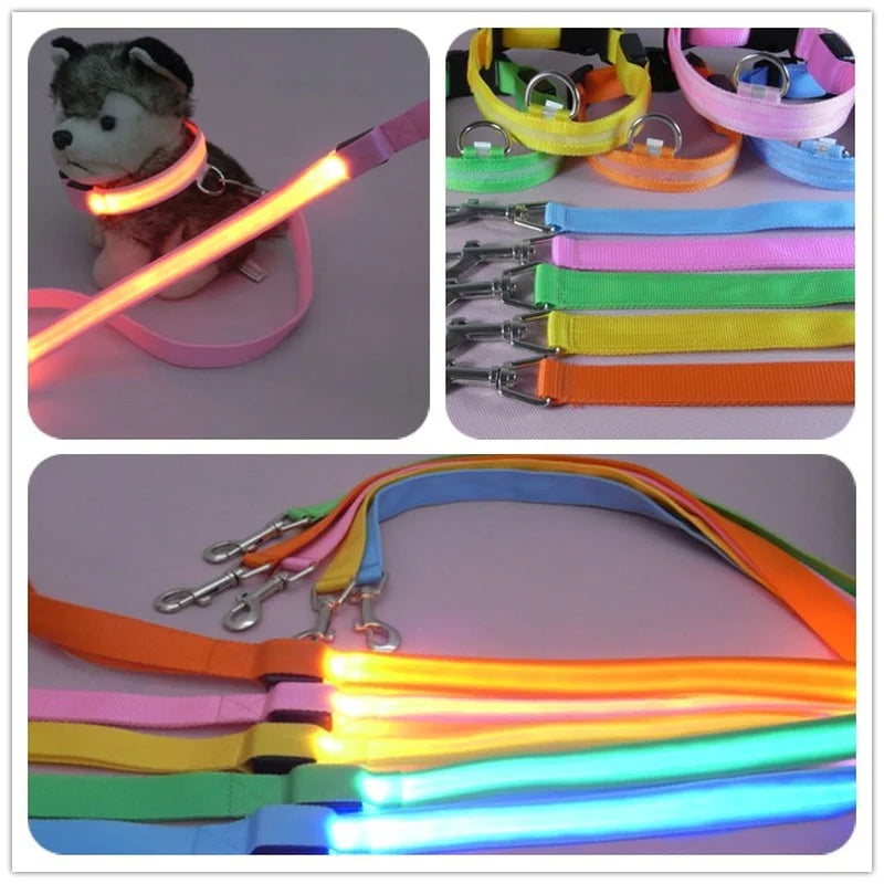 LED Light-Up Dog Leash