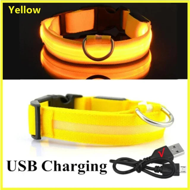 LED Dog Safety Collar