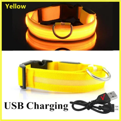LED Dog Safety Collar