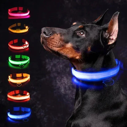 LED Dog Safety Collar