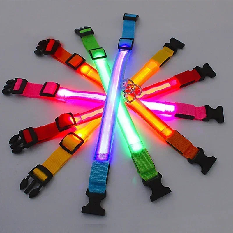 LED Dog Safety Collar