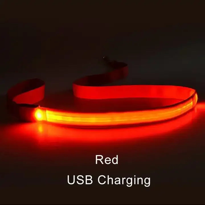 LED Light-Up Dog Leash