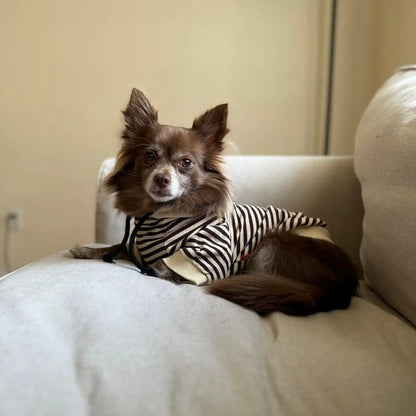 Black & White Striped Matching Dog & Human Hoodies