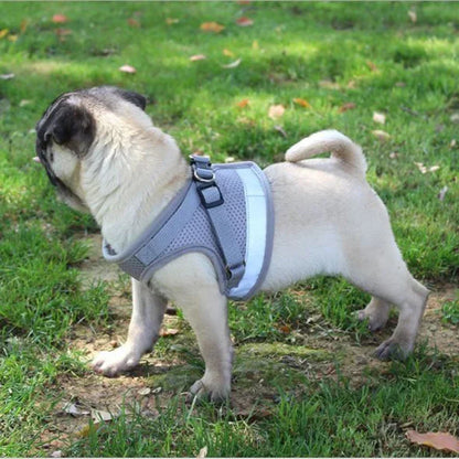 Lightweight Mesh Dog Harness with Leash