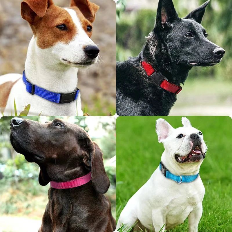 Reflective Comfort Dog Collar