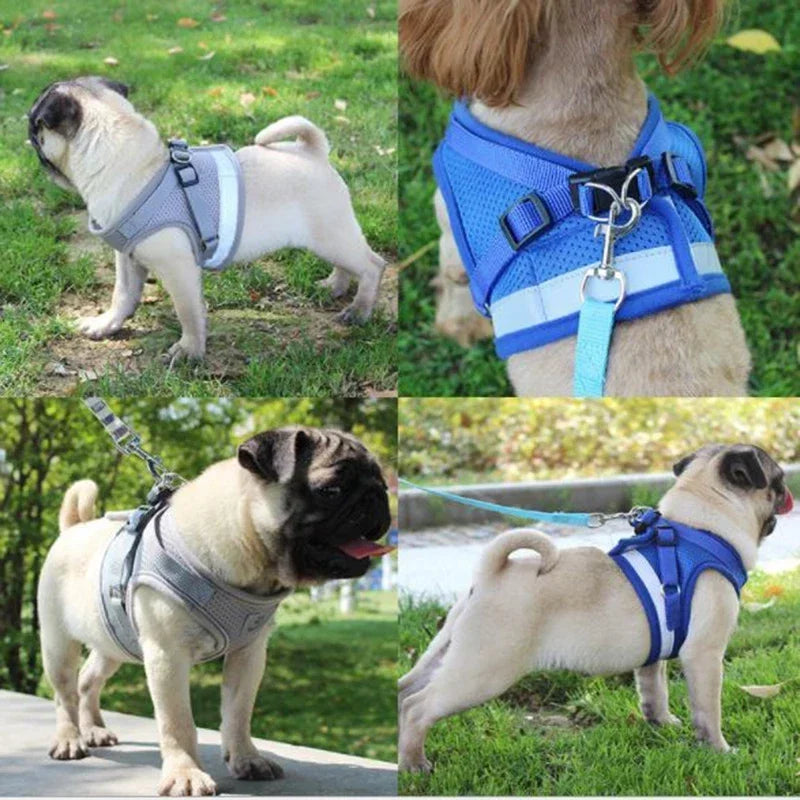 Lightweight Mesh Dog Harness with Leash
