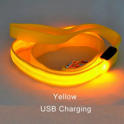 LED Light-Up Dog Leash