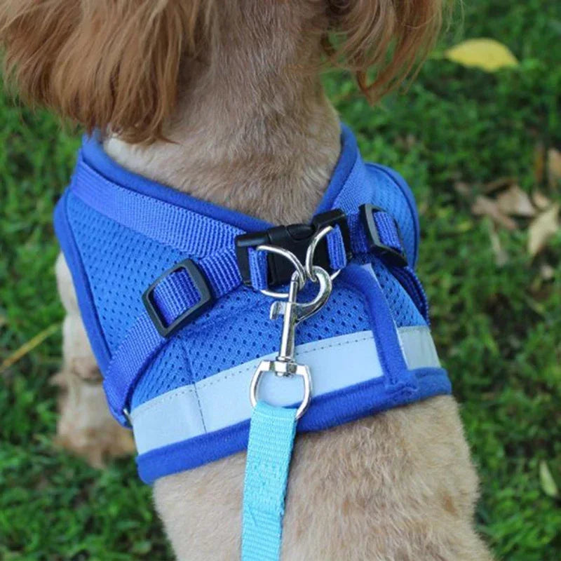 Lightweight Mesh Dog Harness with Leash