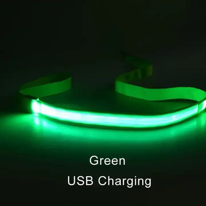 LED Light-Up Dog Leash