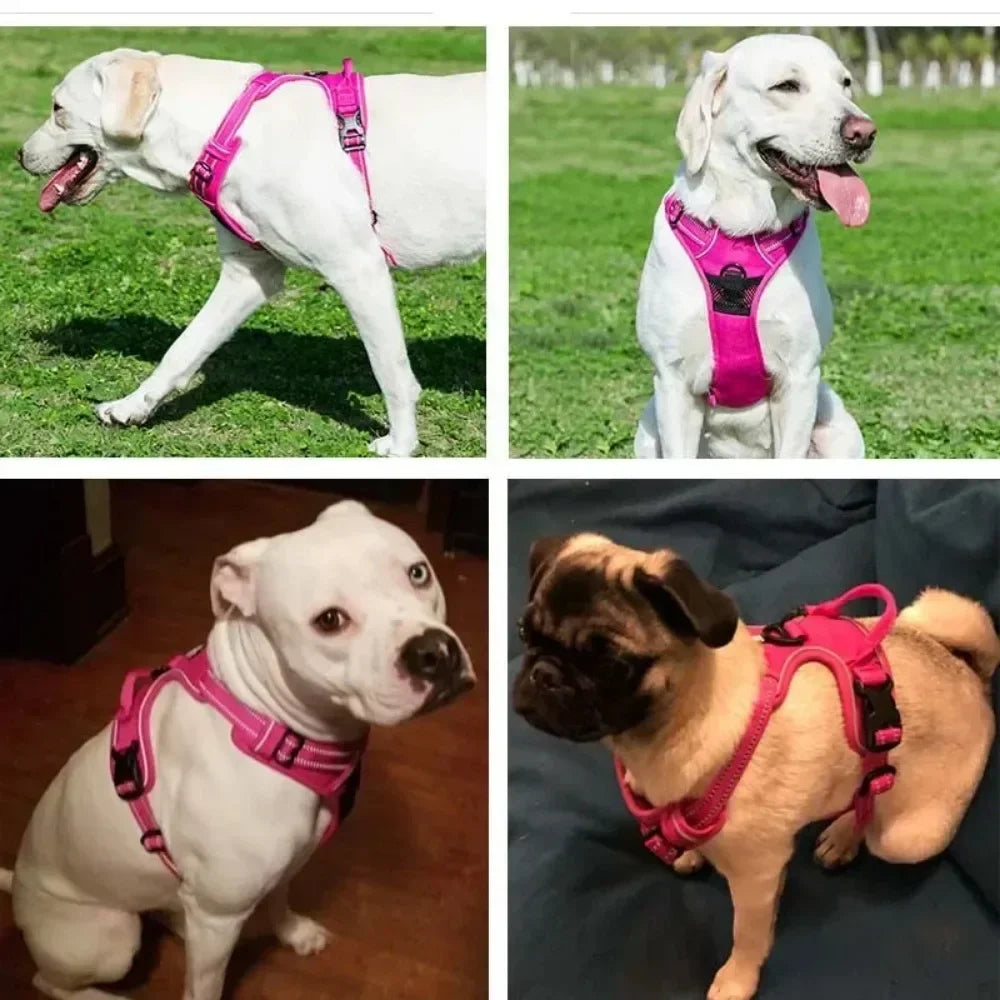 Reflective Adjustable Dog Harness