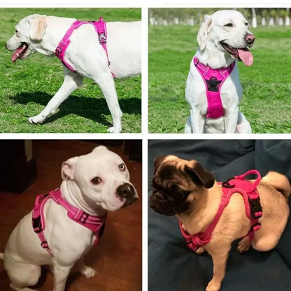 Reflective Adjustable Dog Harness
