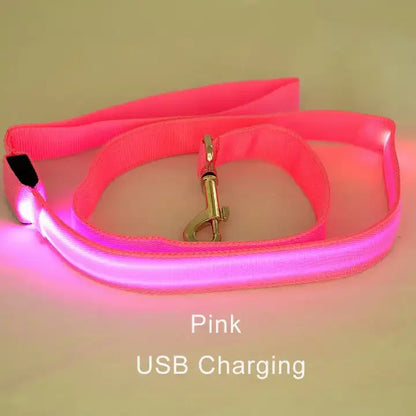 LED Light-Up Dog Leash