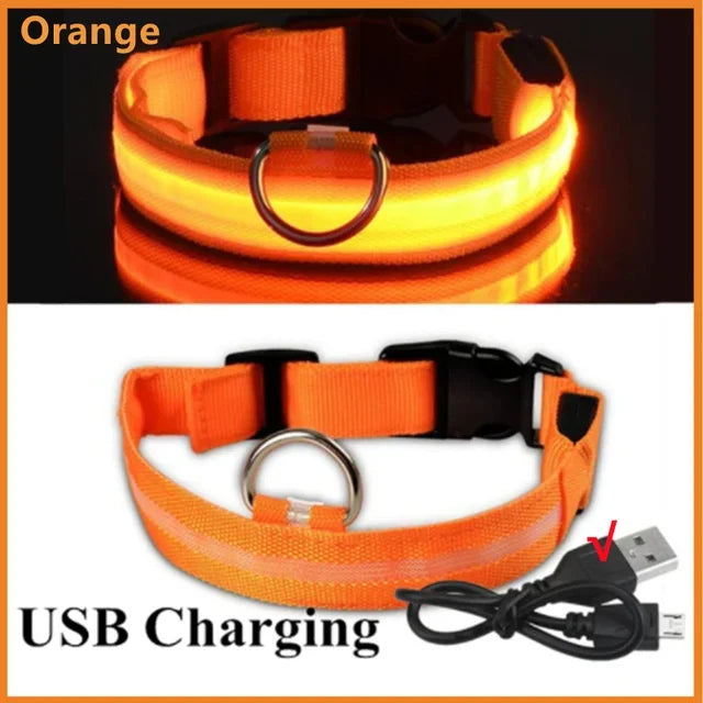 LED Dog Safety Collar