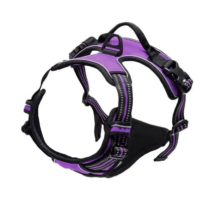 Leather Dog Harness Vest Set